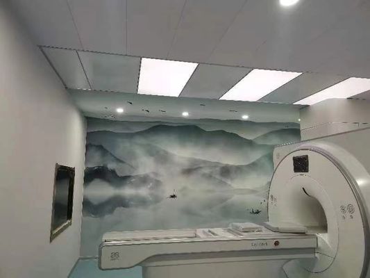 100 ডিবি এমআরআই সুরক্ষিত রুম ফ্যারাডে সুরক্ষা ফ্যারাডে কেজ কাস্টমাইজযোগ্য দরজা