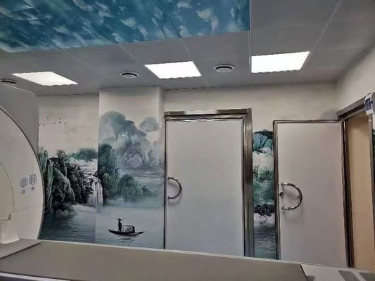 ভালো দাম আরসি ফিল্টার ইন্টিগ্রেশন সহ ১০০ডিবি শিল্ডিং এফেক্টিভনেস আরএফ শিল্ডিং রুম এমআইএল-এসটিডি-২৮৫ এবং আইইইই ২৯৯ স্ট্যান্ডার্ড মেনে চলে অনলাইন